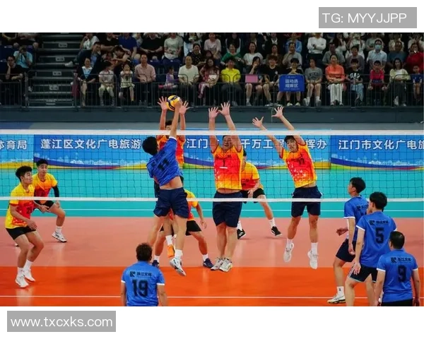 广州排球队的意识提升与团队协作探讨聚焦排球发展新方向