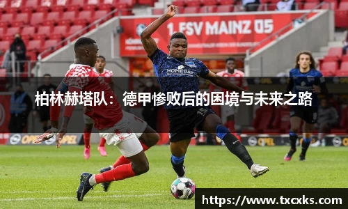boyu博鱼官方app